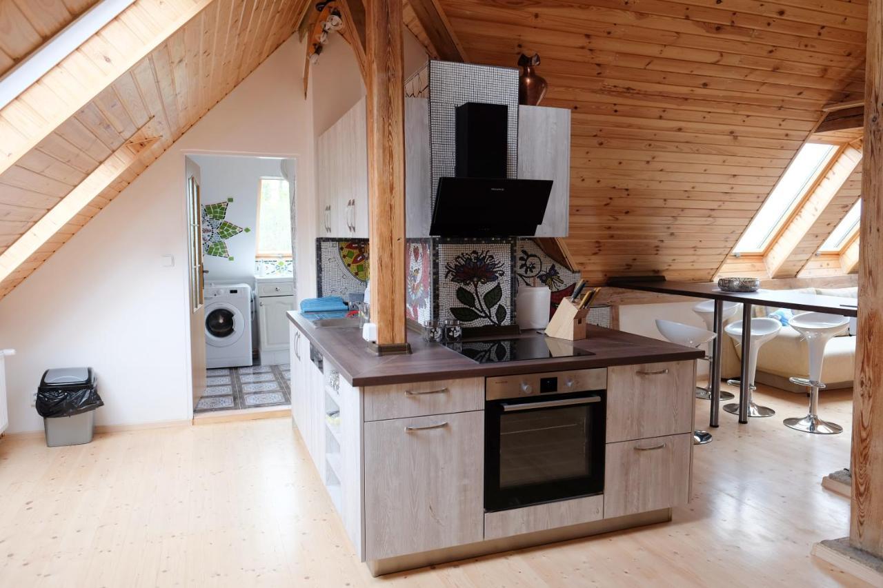 Art-House 3 Attic Apartment With Terrace Decin Luaran gambar