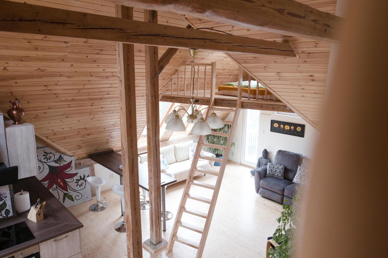 Art-House 3 Attic Apartment With Terrace Decin Luaran gambar