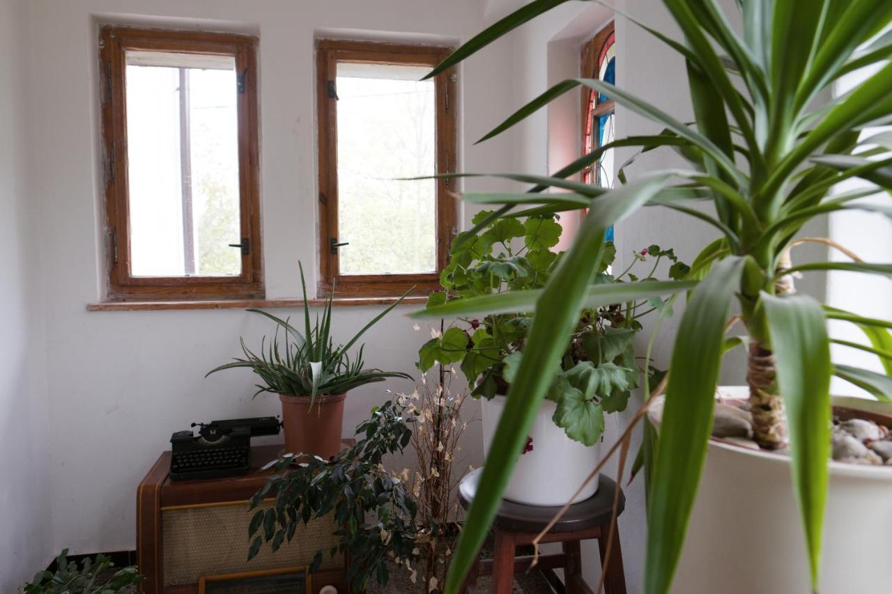 Art-House 3 Attic Apartment With Terrace Decin Luaran gambar