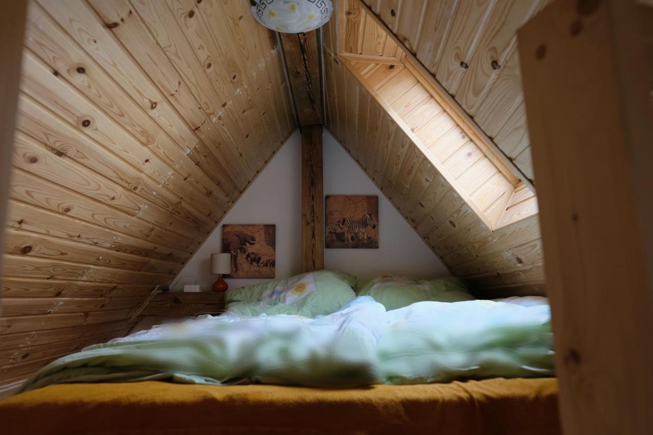 Art-House 3 Attic Apartment With Terrace Decin Luaran gambar